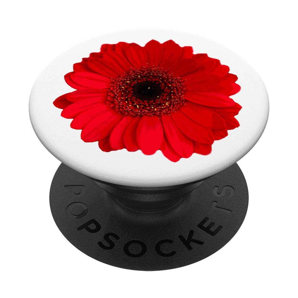 Red Gerbera Daisy Flower on a White Background PopSockets Swappable PopGrip