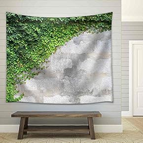 The Green Creeper Plant on a Wall - Fabric Wall Tapestry Home Decor - 51x60 inches
