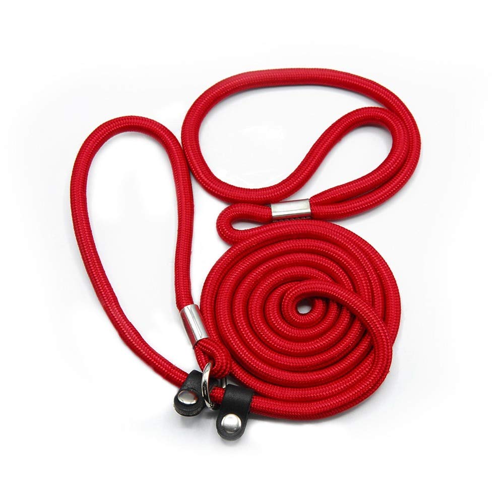 Adjustable Pet Training Leash Collar, Ideal for Small Dogs, Puppies and Cats, Colour Red