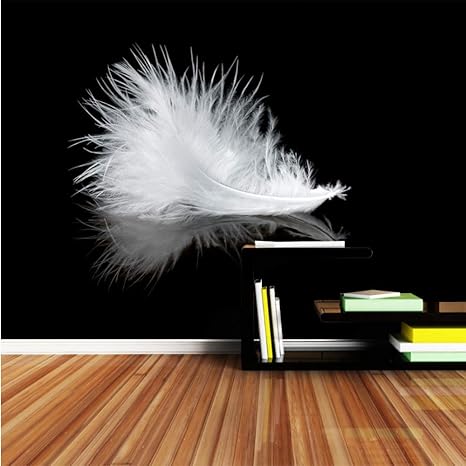 Amazon Xbwy 現代の大きな壁紙ブラックホワイトフェザーシンプルライン壁壁画ロール紙の壁紙3 Dキッズリビングルームアート 150x1cm 壁紙
