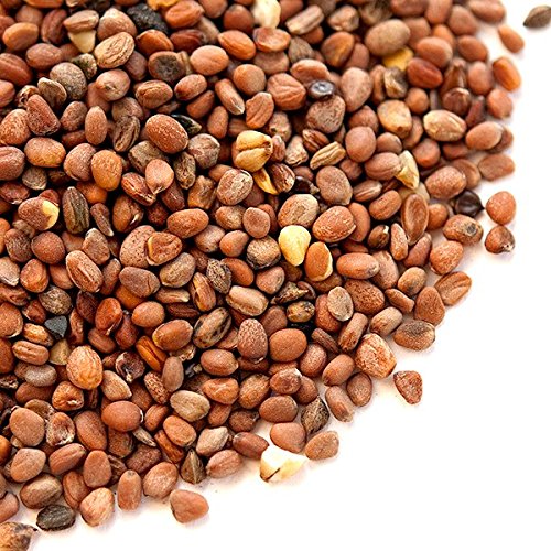 Spice Jungle Daikon Radish Seeds - 4 oz. - Thumbnail 3