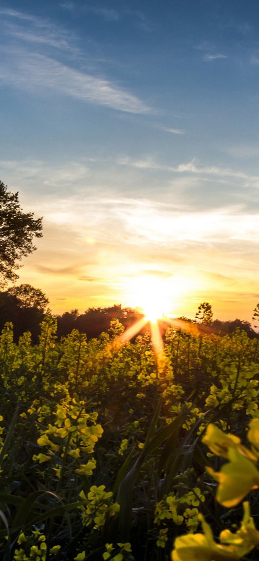 PeelitStickit, Beautiful Nature Wall Murals, ID-3283, vinyl