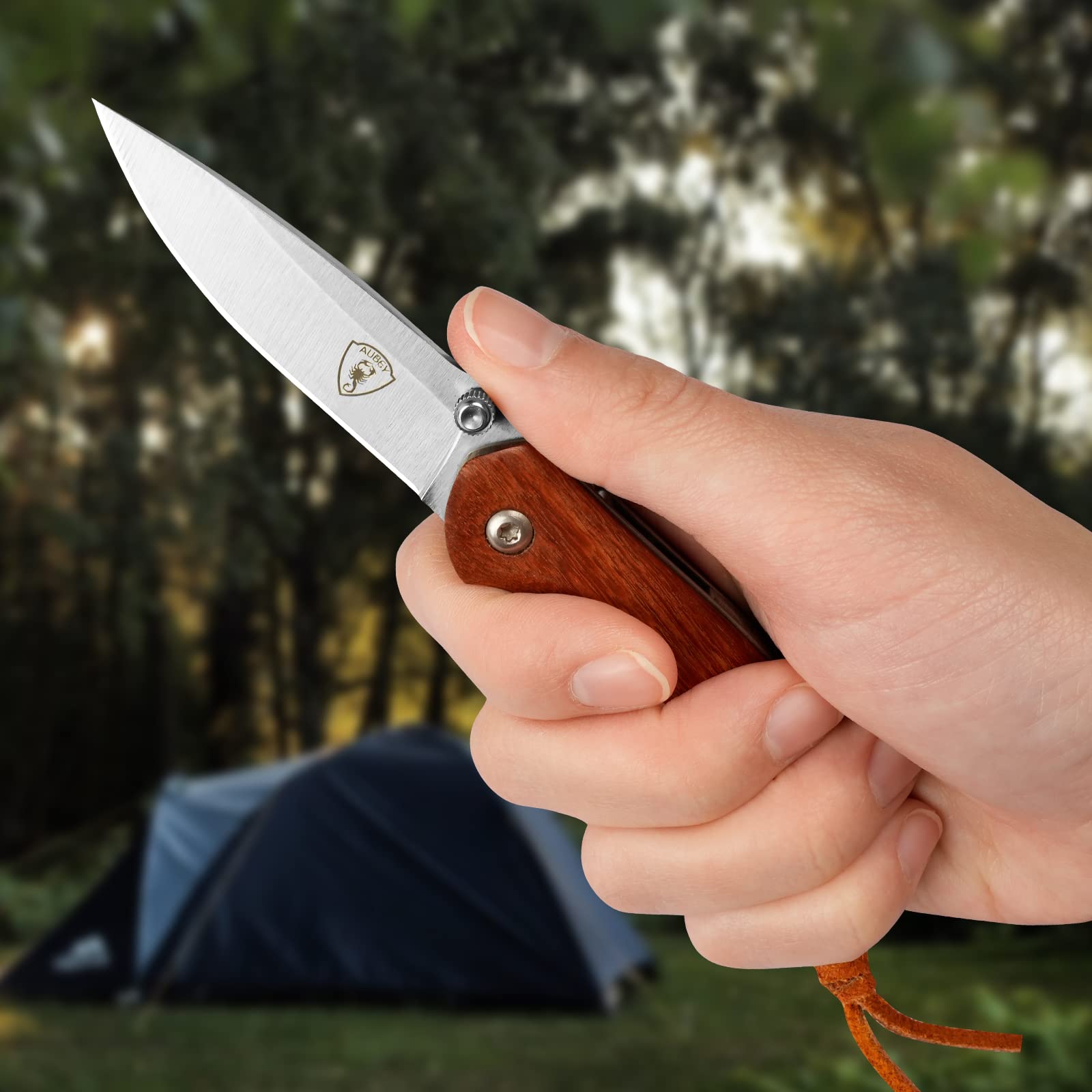 AUBEY Taschenmesser Klein, Scharfes Klappmesser Mini Messer mit 440 Stahl Klinge, Holzgriff, Liner Lock - EDC Messer Pocket Knife für Outdoor Survival Jagd Angeln Geschenk Sammeln 7