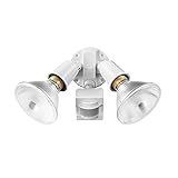 Globe Electric 17000270 110-Degree 240 W Twin Head