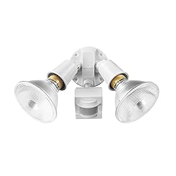 Globe Electric 17000270 110-Degree 240 W Twin Head