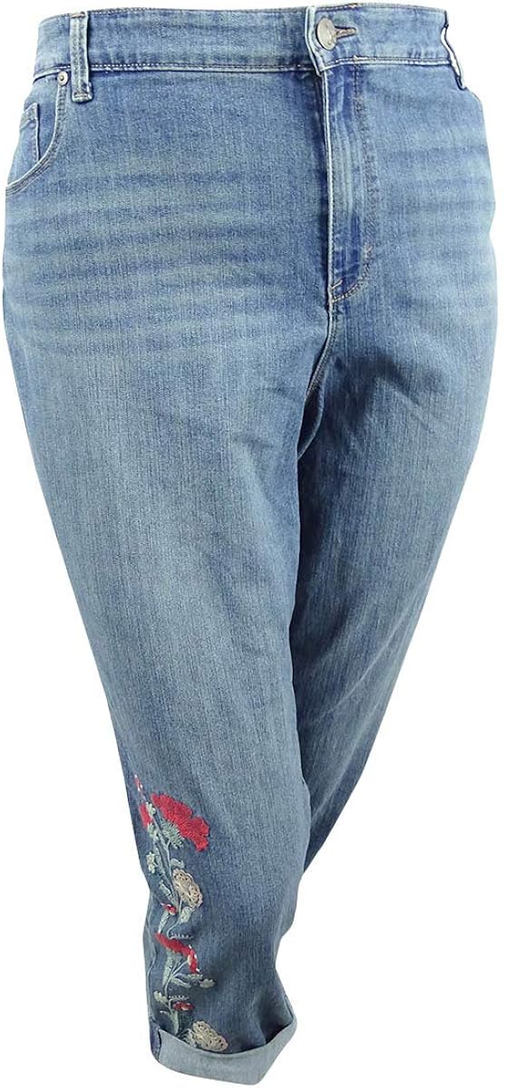 plus size embroidered skinny jeans