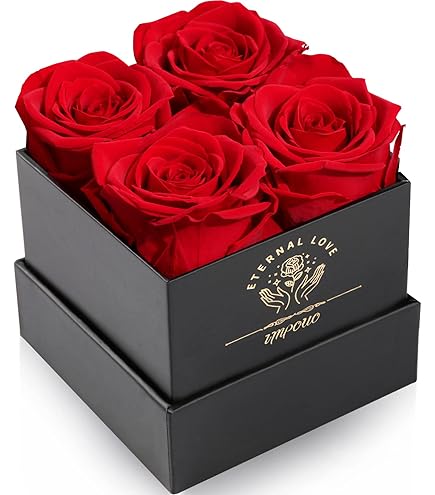 Amazon.com: Forever Flowers Roses in A Box,Real Preserved Flowers