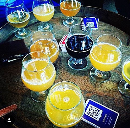 Never Have I Ever, The Game of Poor Life Decisions [A Party Card Game]