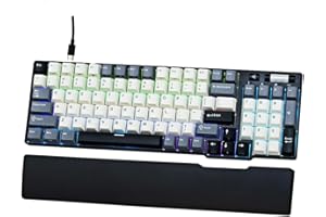 RK ROYAL KLUDGE C96 HE Mechanical Gaming Keyboard, Hall Effect Magnetic Switch, Hot Swappable 90% Wired RGB Keyboard, Rapid T