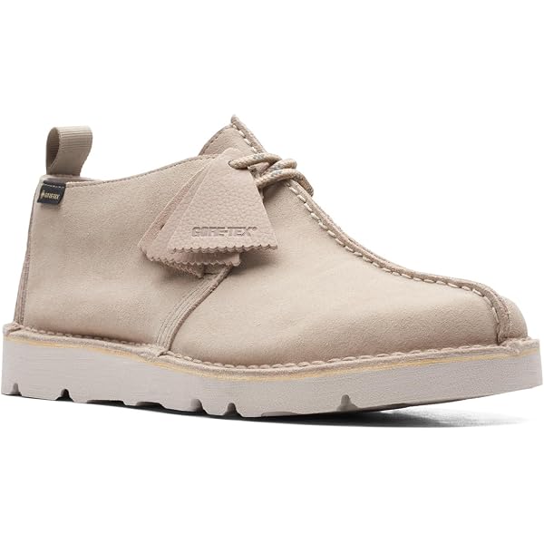 Amazon.com | Clarks Men's Desert Trek GTX Shoes