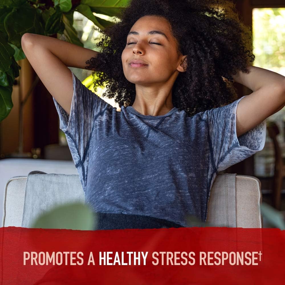 Garden of Life mykind Organics Ashwagandha Stress & Mood 60 Tablets - 600mg Ashwagandha plus Ginger & Probiotics, Supports Healthy Stress Response, Energy Levels - Organic Non-GMO Vegan & Gluten Free: Health & Personal Care