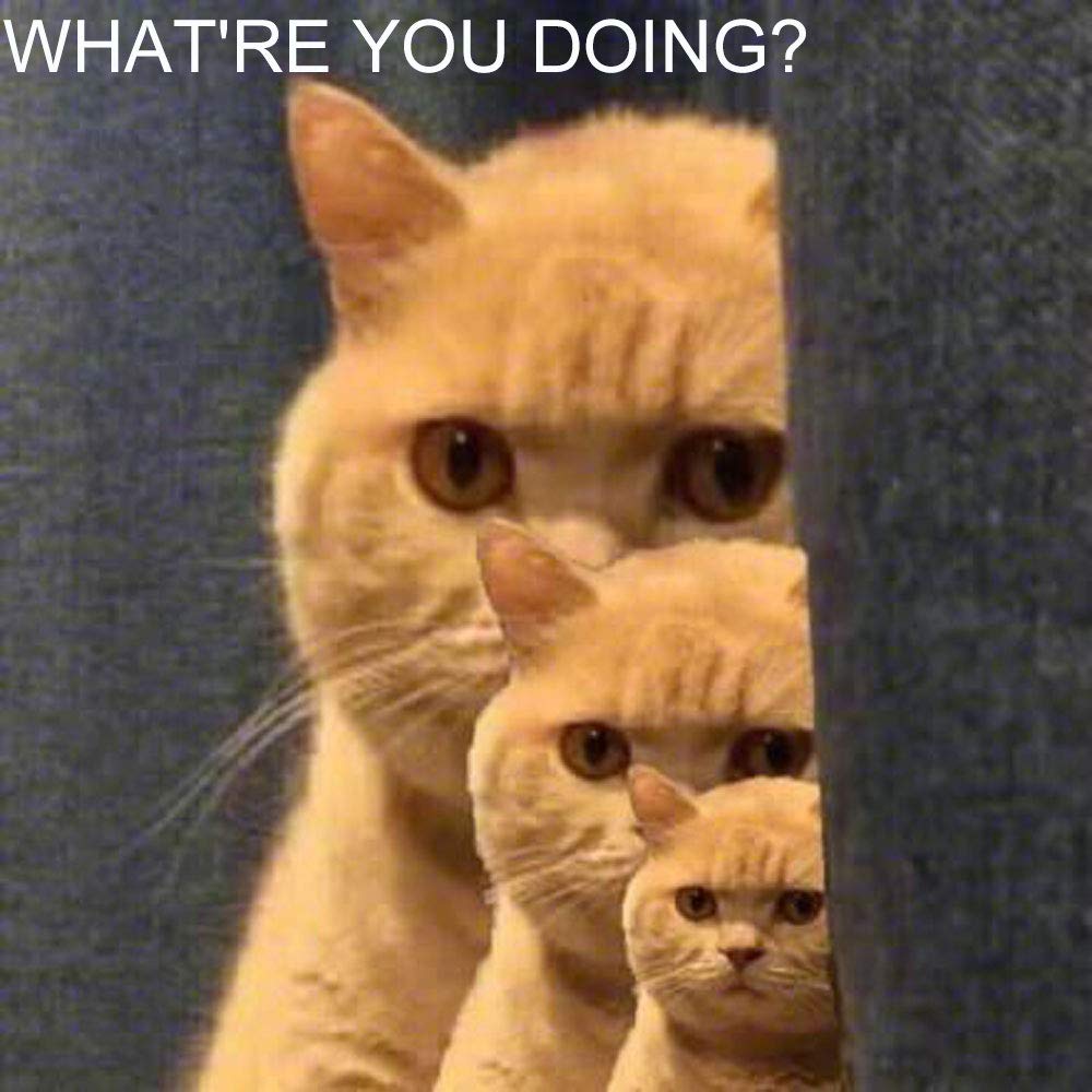 24 Pockets Hippih Over The Door Shoe Organizer Transparent PVC Storage Bag