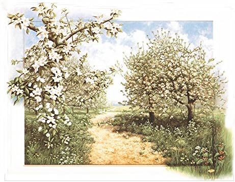 Crogyeya Canvas Print Oil Paintings on Wall for Home Decoration 3D Garden Plum Blossom Path Unframed Modern Painting Artwork 16x20inch