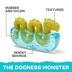 Barkbox Super Chewer Tough Dog Chew Toys for