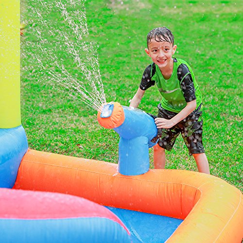 3 Doctor+Dolphin+Inflatable+Bounce+Outdoor