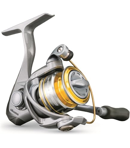 DAIWA LT3000-CXH Spinning Reel 23 Legalis : Amazon.ca: Sports