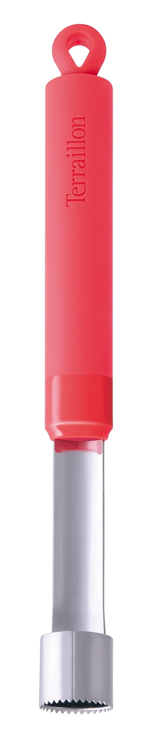 Terraillon Access Apple Corer, Professional and Household Utensil, Hanging Loop, Express Your Chef, Inox/Silicone, Citrus