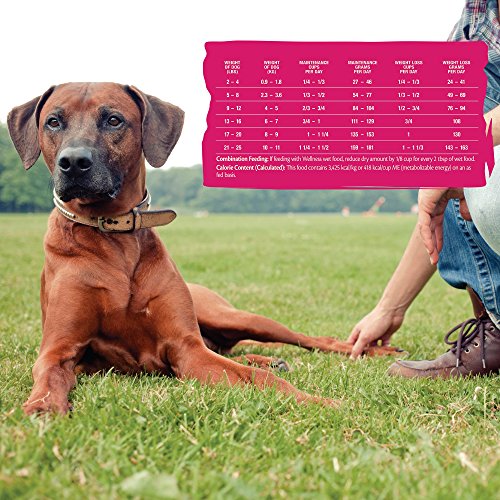 Wellness Core Small Breed Dog Food - Image 7