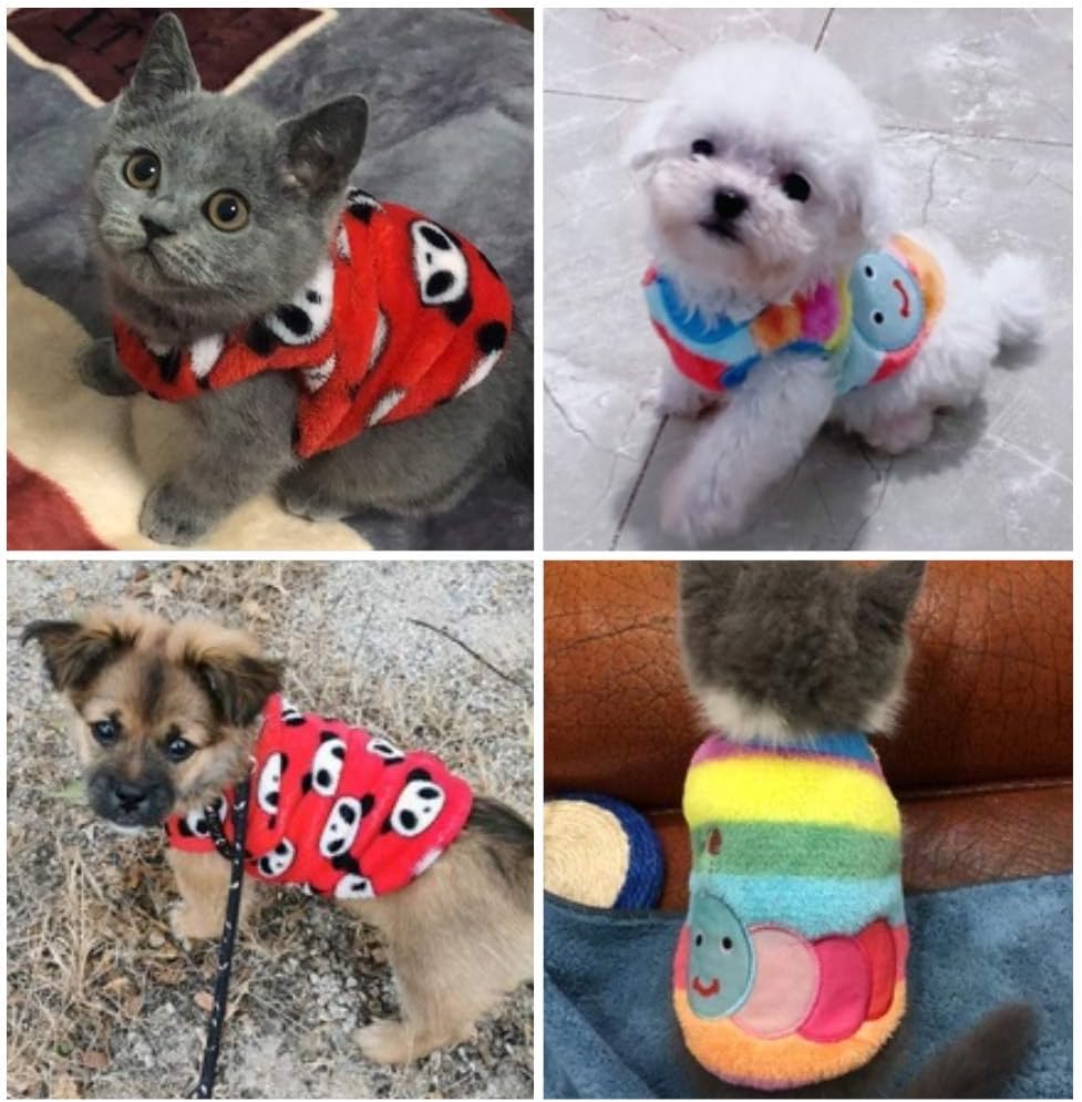 tiny dog jackets