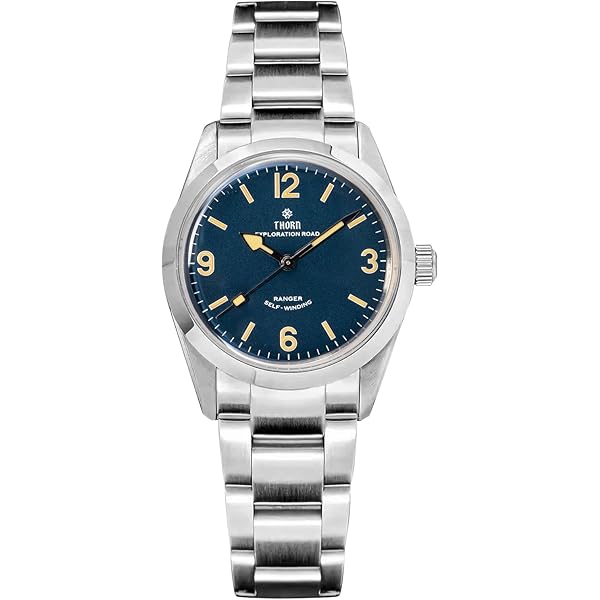 Amazon.com: Citizen JV1007-07E PROMASTER Land Series Light