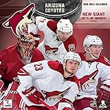 Arizona Coyotes 2016 Calendar by 