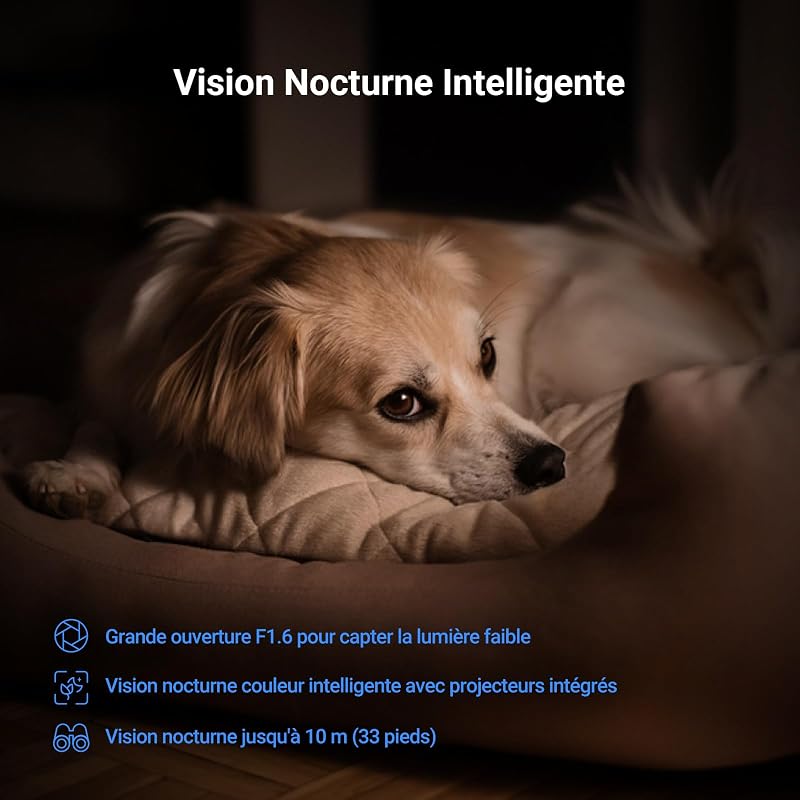 4K(8MP) Camera Interieur, Caméra Bébé avec WiFi 2.4/5Ghz C6N G1 4K