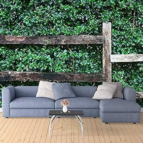 Wall Mural The Lush Plants on Antique Brick Wall Removable Self-Adhesive Large Wallpaper - 66x96 inches