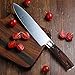 S-JIANG Pro Kitchen 8 Inch Chef's Knife High Carbon Stainless Steel Sharp Gyutou Knives Ergonomic Equipment (Wooden Handle) with Gift Box