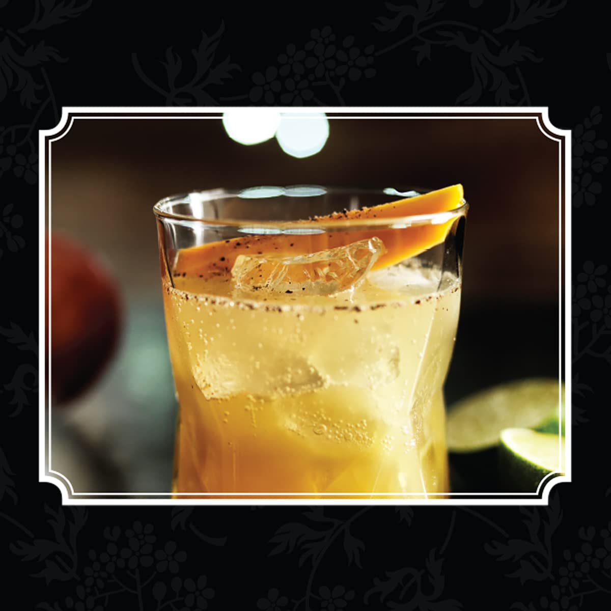 Art of Mixology: Bartender's Guide to Gin - Classic & Modern-Day Cocktails for Gin Lovers (The Art of Mixology)