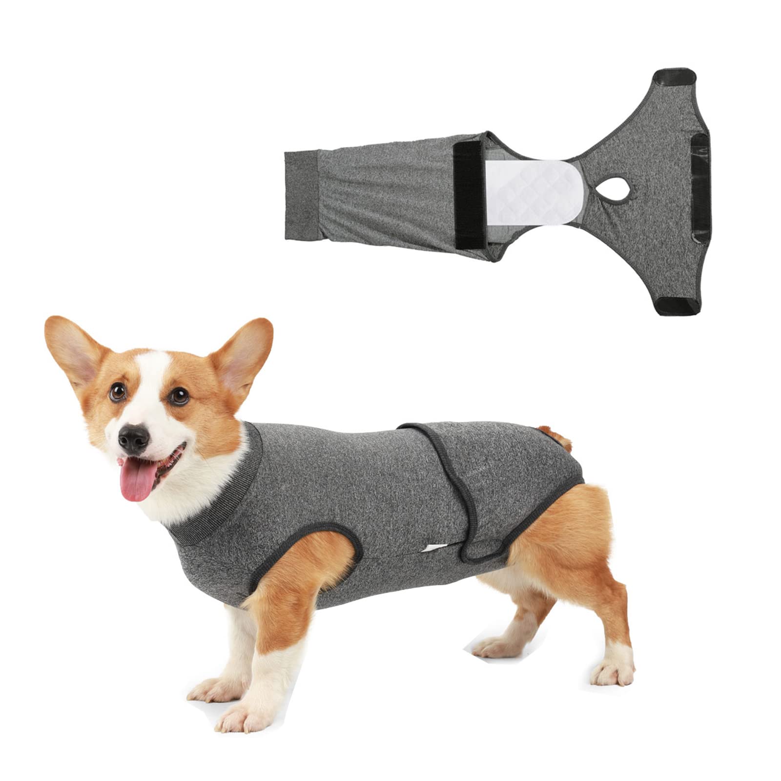 Blue Dream Island Dog Recovery Suit for Dogs Cats After Surgery, Professional Pet Recovery Shirt Abdominal Wounds Bandages Substitute E-Collar & Cone Dog Onesies (M-Grey)