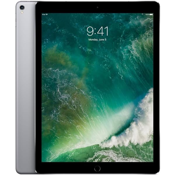 iPad本体 Amazon.com : Apple iPad Pro (11-inch, Wi-Fi, 256GB) - Space Gray
