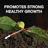 Doff Natural Rooting Powder 75G Promotes Strong Healthy Roots view 2