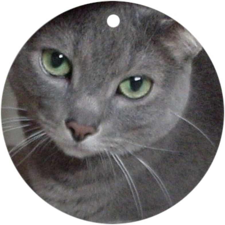 Amazon Com Cafepress Russian Blue Cat Ornament Round Round
