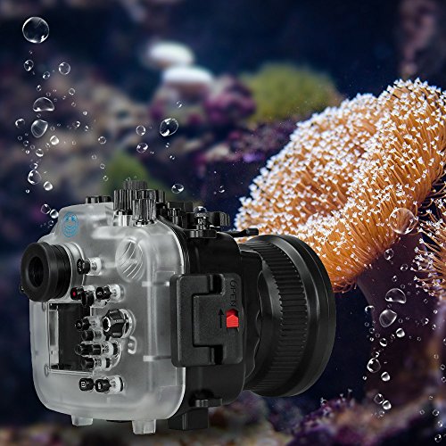 Seafrogs Underwater Camera Housing Case w/ 8" Dome Port Kit, 40M/130FT Waterproof Housing for Sony A7 III A7R III with 16-35mm F2.8 GM / 24-70mm f/4 OSS Lens