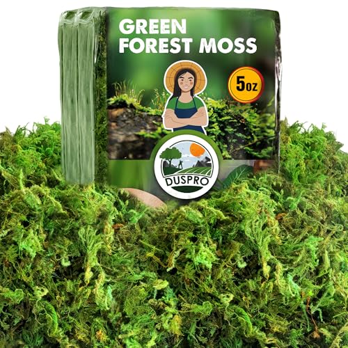 Photo 1 of [Upgraded] DUSPRO Green Moss for Crafts, Real Forest Moss Potted Plants, Decorative Mosses for Table Centerpieces Wedding Christmas Fairy Party Decor, Indoor Planters, DIY Project (5 oz)