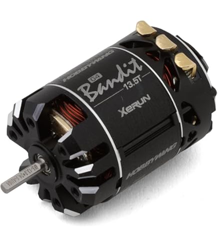 Amazon.com: HOBBYWING XERUN V10 G3R Competition Motor (25.5T