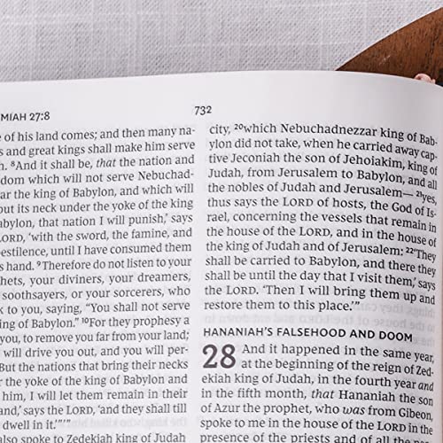 NKJV, Value Thinline Bible, Large Print, Leathersoft, Charcoal, Red Letter Edition, Comfort Print: Holy Bible, New King James Version NKJV, Value Thinline Bible, Large Print, Leathersoft, Charcoal, Red Letter Edition, Comfort Print: Holy Bible, New King James Version Imitation Leather