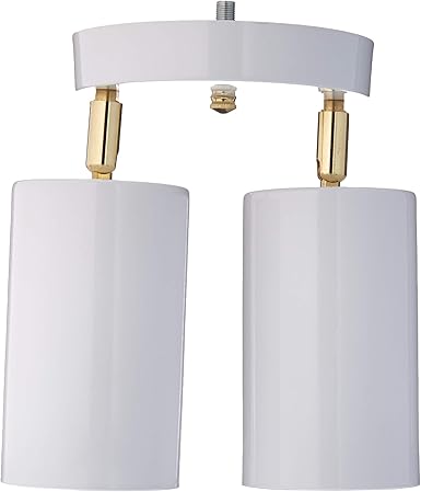 Westinghouse Lighting 6668200 Two Light Multi Directional Ceiling