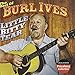 Best of Burl Ives: Little Bitty Tear