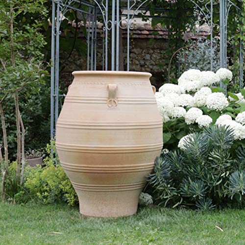 Palatina-Keramik | XXL Amphore aus Terracotta | 100 cm | frostfest | mediterrane Pflanzgefäße Pflanzkübel für Garten Terrasse Balkon Außenbereich Thymus 100 cm – Bild 3