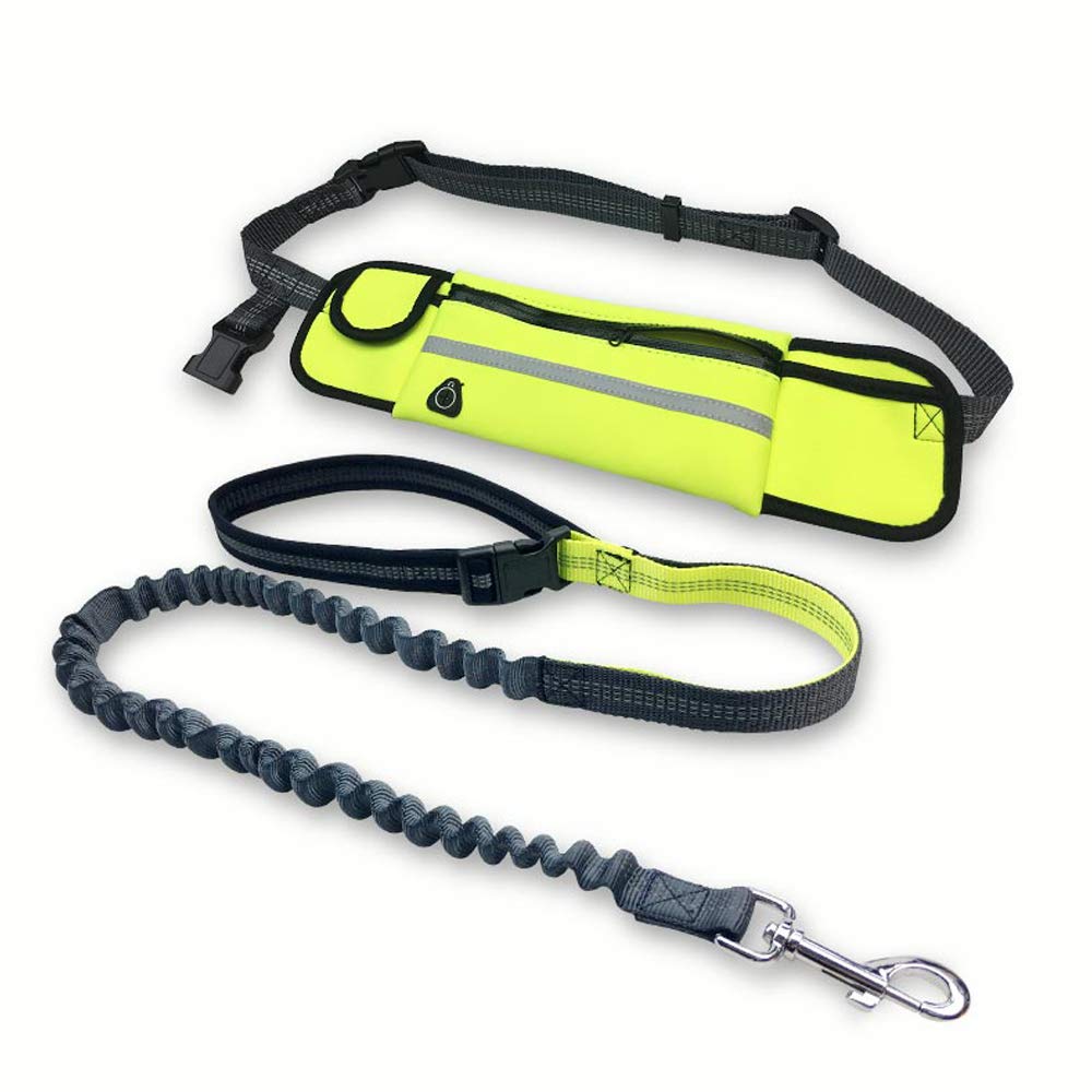 VOANZO Dog Leashes with Waist Pack, Polyester Pet Leash Detachable, Suitable for Sports Running and walking（green）