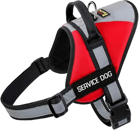amazon service dog vest