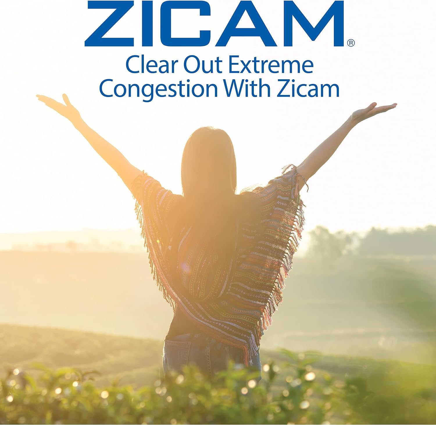 Zicam Extreme Congestion Relief Nasal Spray, 12 Hour Relief, No-Drip Liquid with Soothing Aloe Vera - 0.50 fl oz (Pack of 4)