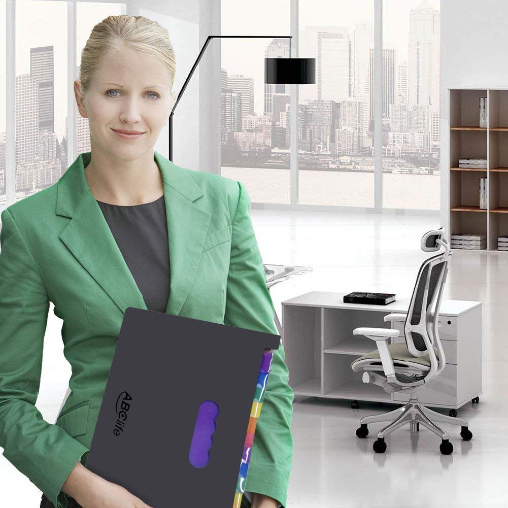 Expanding File Folder - ABC Life 24 Pockets Portable Rainbow A4 File Organiser Self Standing Accordion Document Wallet Business Filing Box High Capacity Storage Bag for Home & Office & School