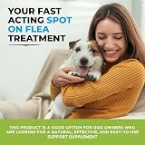 BUDDY'S BEST Spot-On Flea & Tick Protection for Dogs 50ml Natural Formula view 4