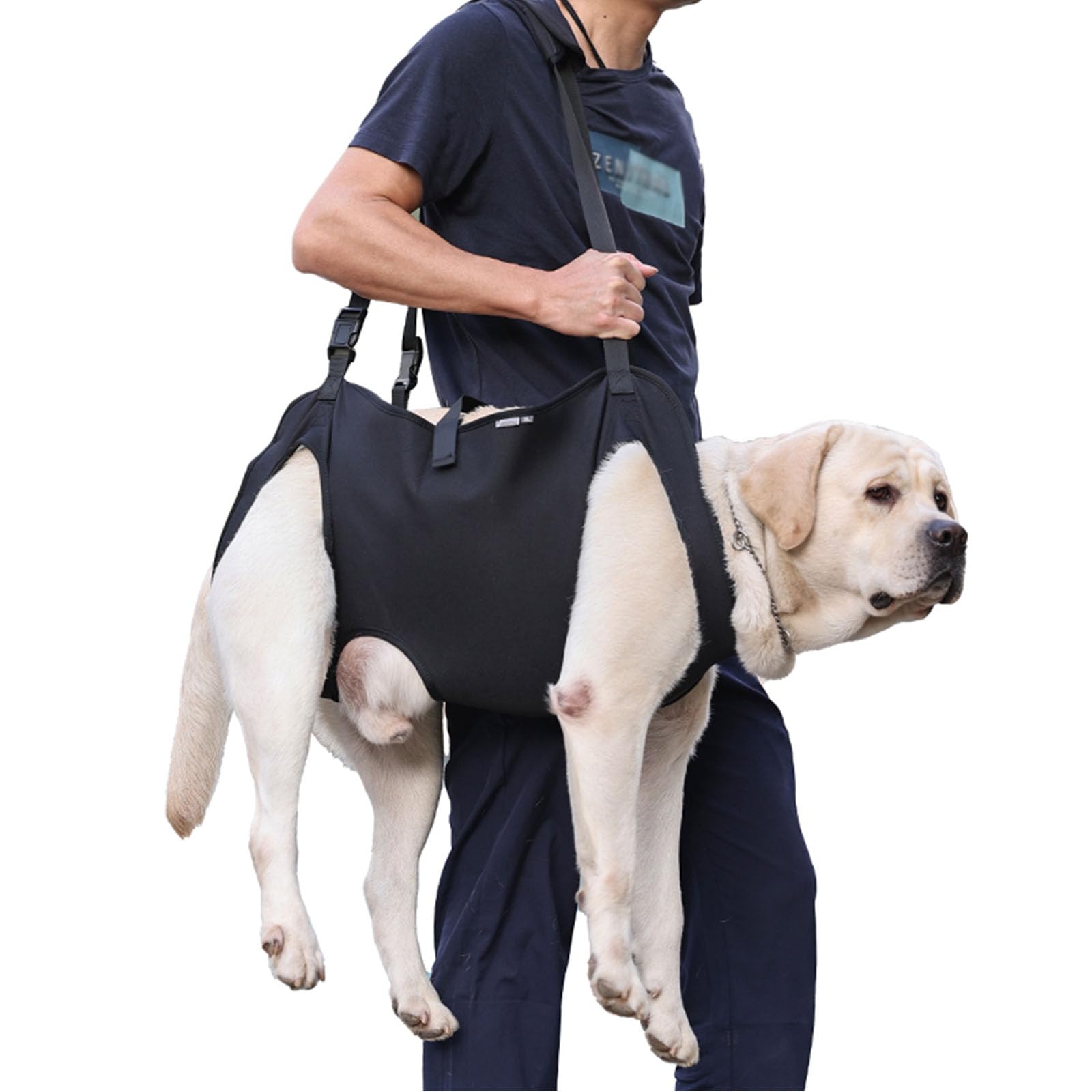 BT Bear Dog Carry Sling - Senior Dog Support & Rehabilitation Harness, Up & Down Stairs, Arthritis & Injuries (XL)