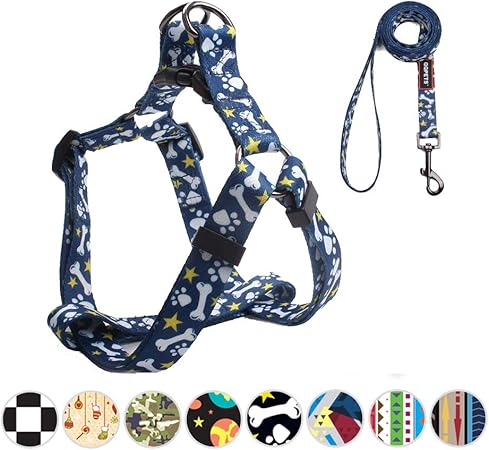 hills prescription cd