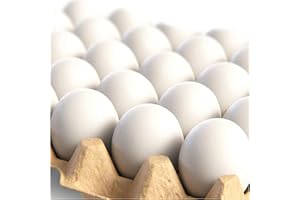 CALPALMY 24 Pieces Hyper-Realistic White Wooden Eggs - 2 Dozen Fake Easter Eggs for Painting, Decorating, Crafting, Pretend Play, Simulation Toys, Fake Food, Nest Box Training