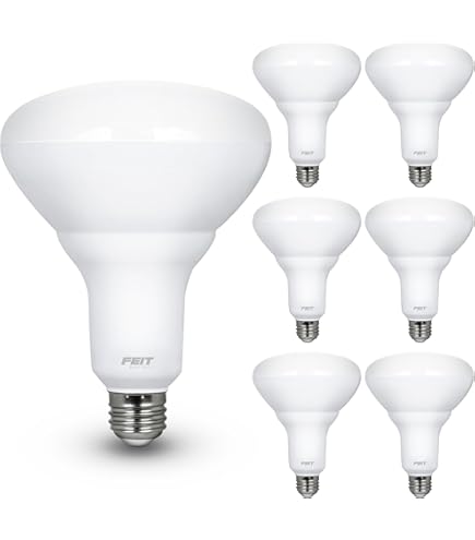 Philips 560268 LED 8.8w (65w Equivalent) BR40 6-Inch Recessed Can