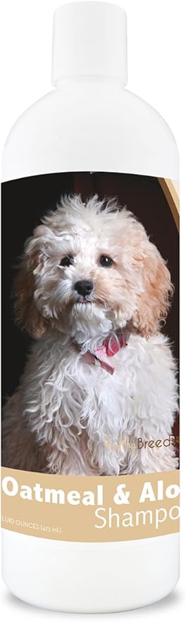 best shampoo for cockapoo